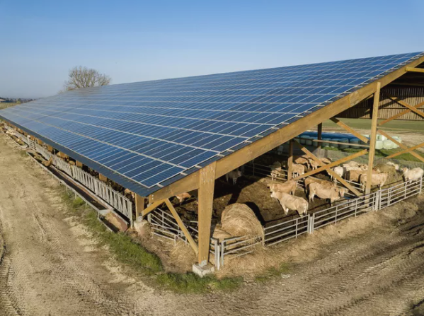 A113.png