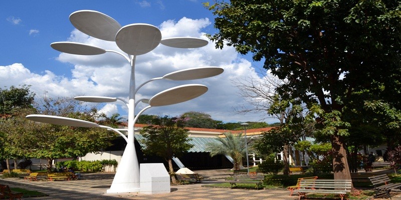 arvoresolar.jpg