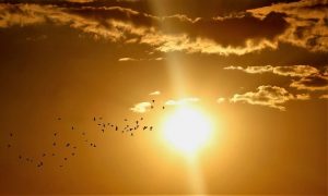 solar